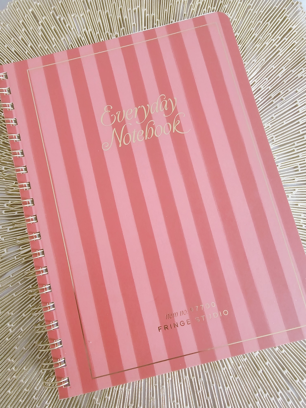 Everyday Notebook - Pink & Red Stripe Spiral Journal by Fringe Studio NWT